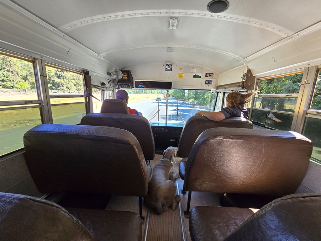 Test driving the bus